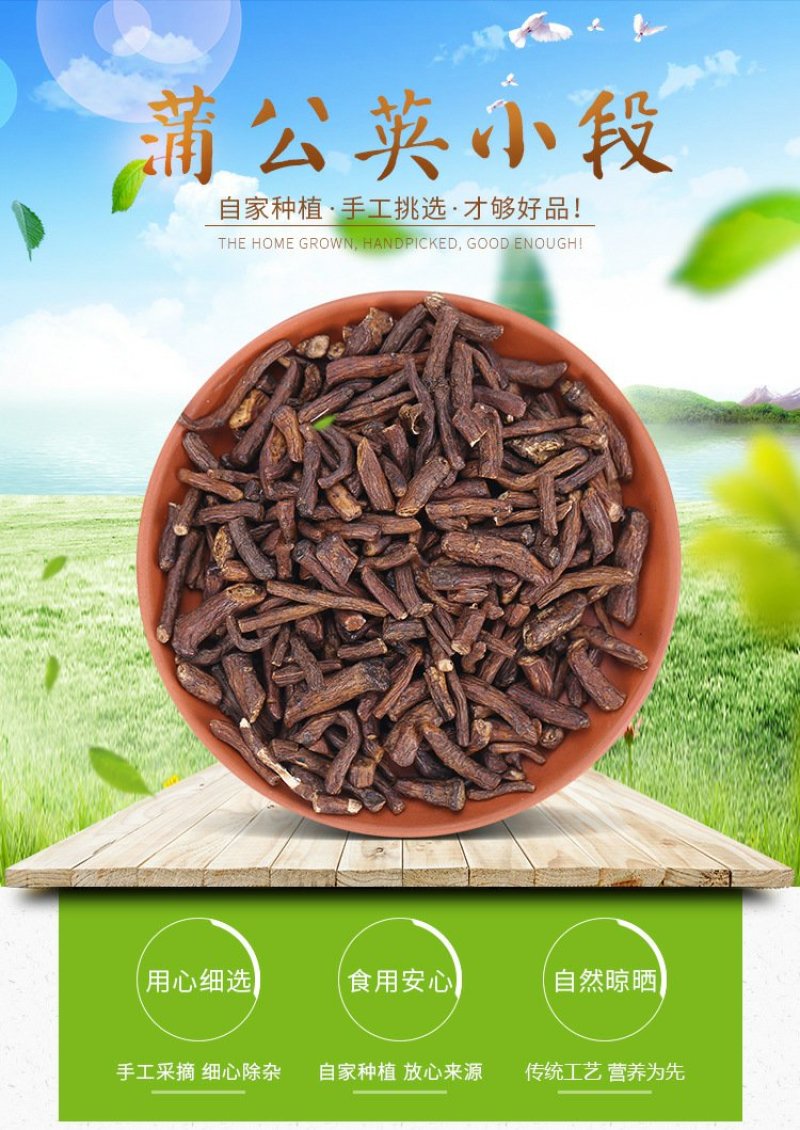 长白山野生蒲公英根茶小根小段小片花茶养生茶产地货源