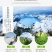 长白山野生蒲公英根茶小根小段小片花茶养生茶产地货源