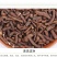 长白山野生蒲公英根茶小根小段小片花茶养生茶产地货源