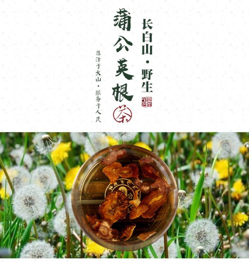 东北长白山特产蒲公英根茶片新茶售卖批发量大