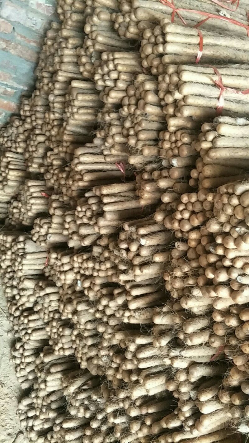 铁棍山药