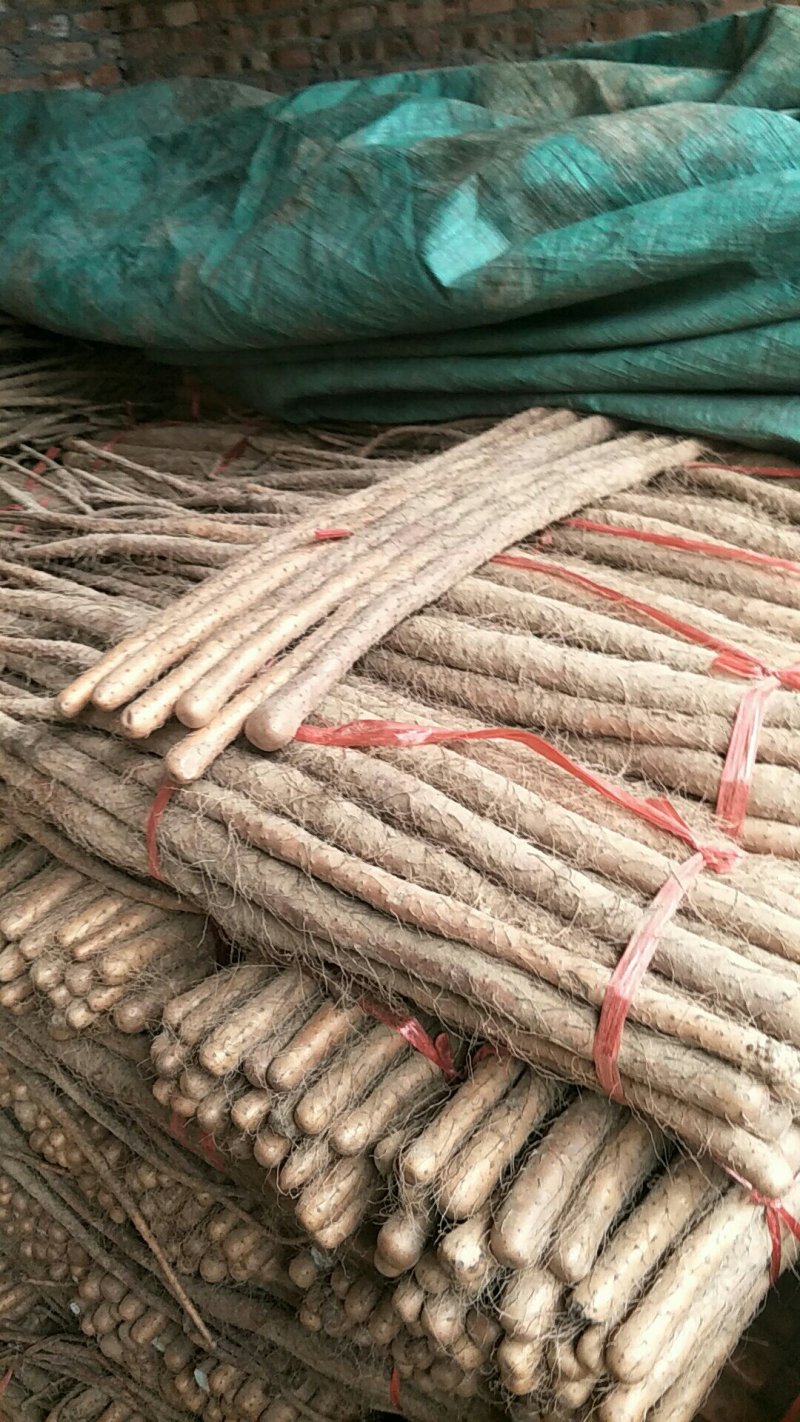 铁棍山药