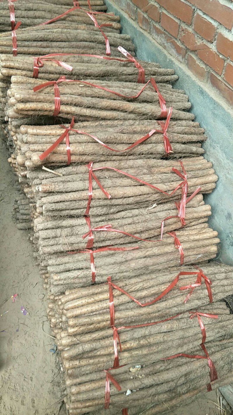 铁棍山药