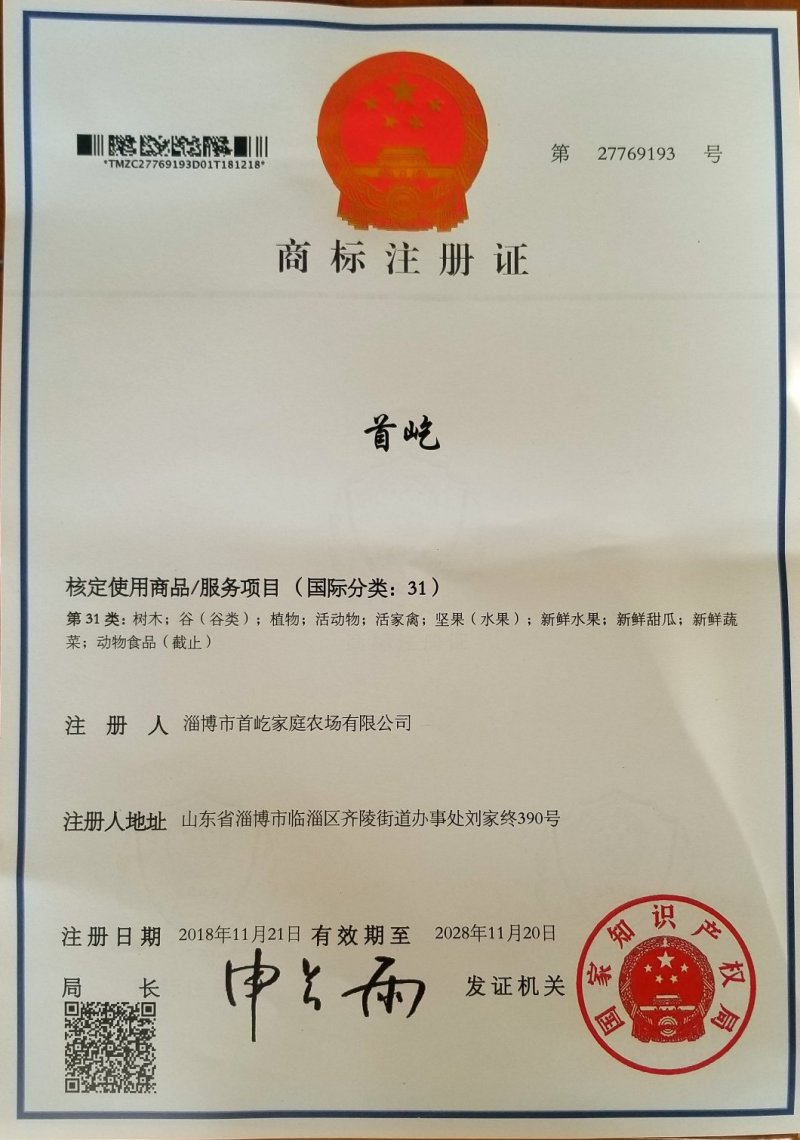 首屹®香薯心香红薯红皮，黄心，香甜粉糯…脱毒大田种苗