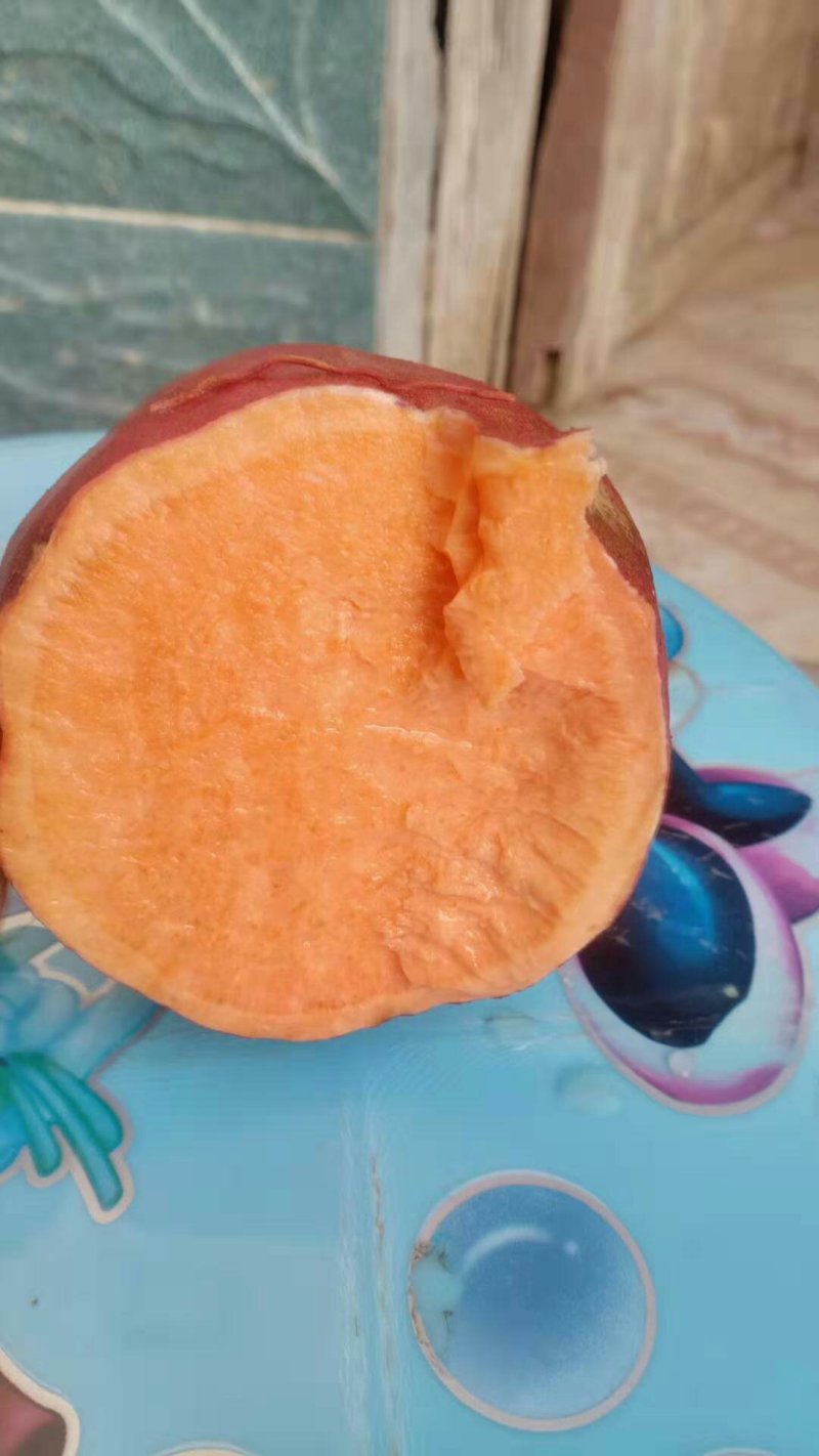 红薯苗，西瓜红优质脱毒红薯苗