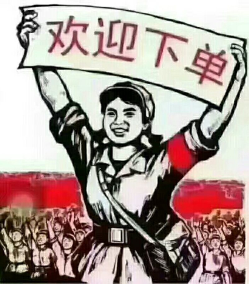 红薯苗，紫薯，（原种一代）质量保证，成活率高