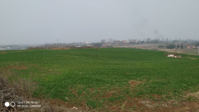出售钟祥石牌68亩旱地