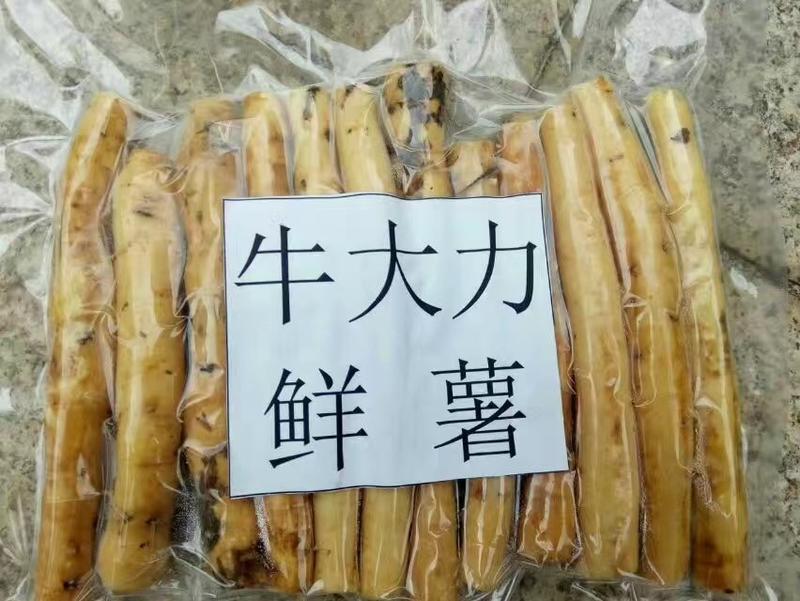 [热卖]广西柳州牛大力鲜薯干片大量直供小叶牛