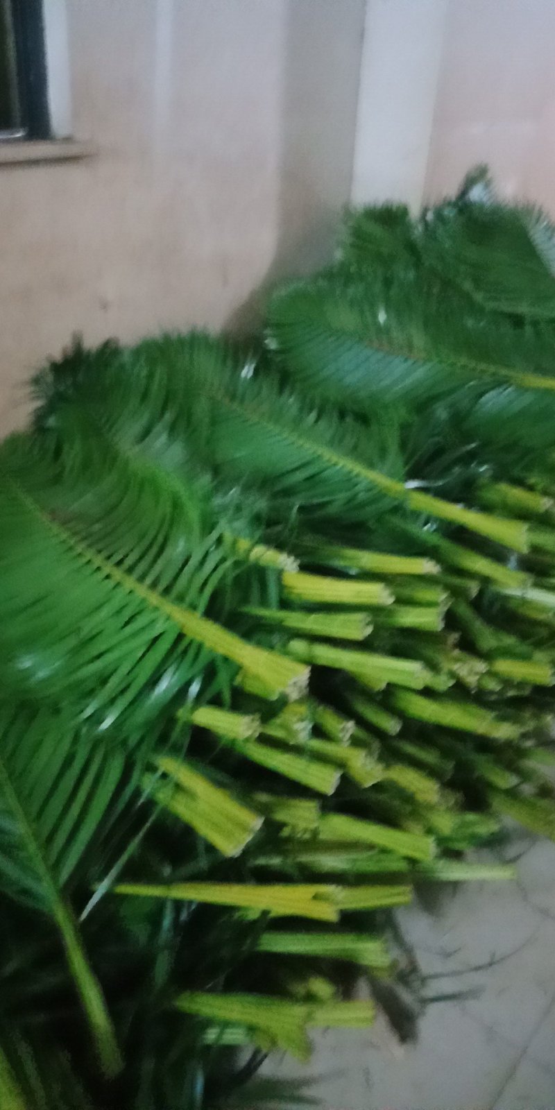 基地直销