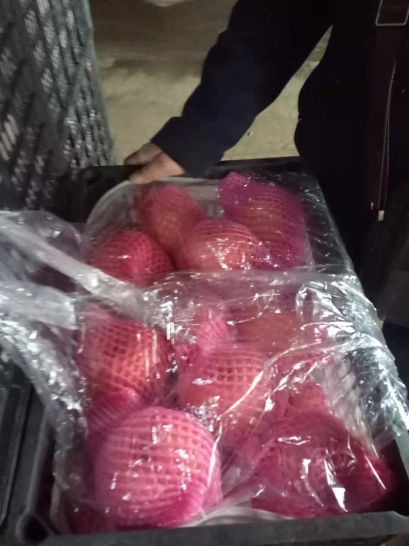 山东富硒梨新高梨黄金梨晚秋黄梨产地批发价格