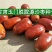 甘肃玉门沙枣种子甘肃沙枣种子批发沙枣籽发芽率高成活好