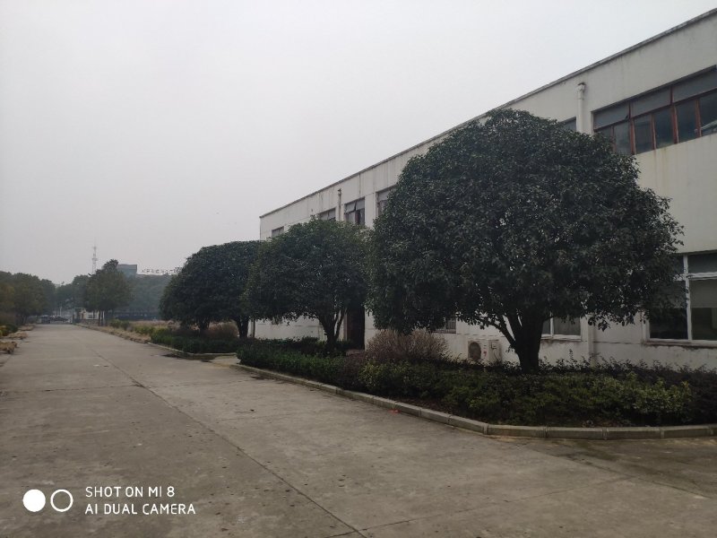 供应精品朴树，重阳木，桂花，广玉兰，小叶榆树，香樟等绿化