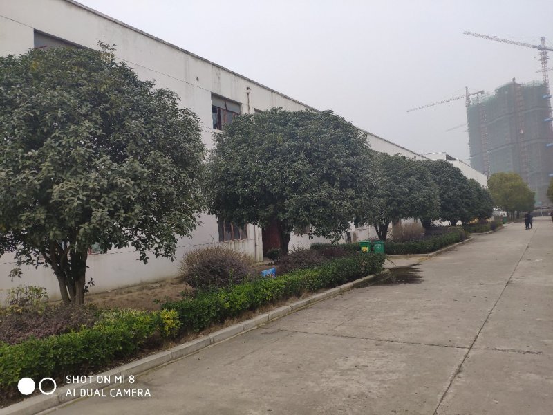供应精品朴树，重阳木，桂花，广玉兰，小叶榆树，香樟等绿化