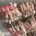 桐根子泡桐种子，炮桐树根可育炮桐树苗大量出售
