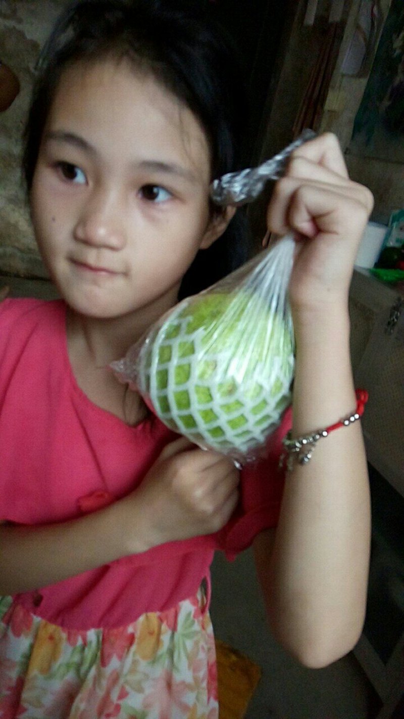 番石榴苗