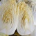 蔬菜