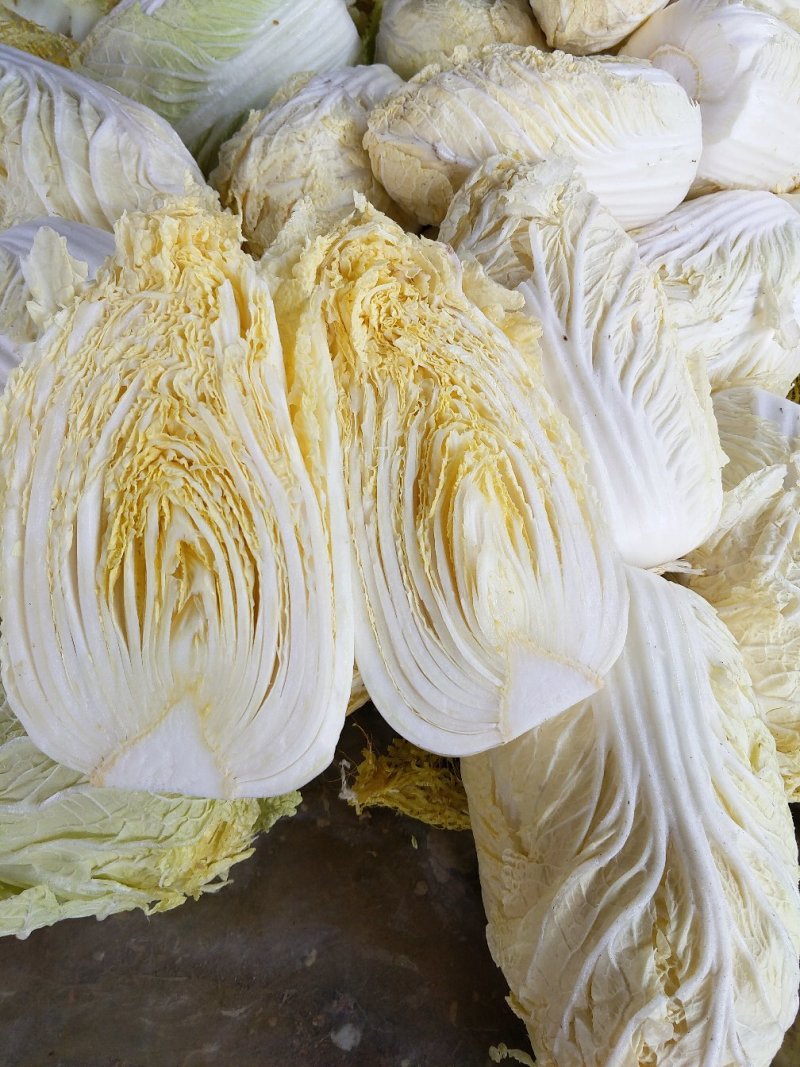 蔬菜