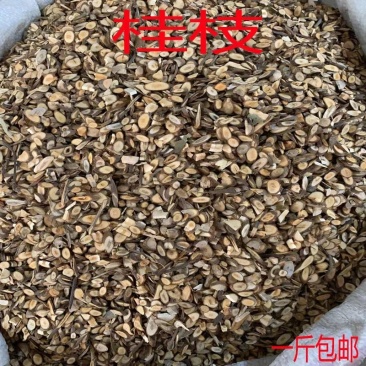 广西苗族香桂枝，肉桂枝，桂树，统货切片，价格优惠，质量优