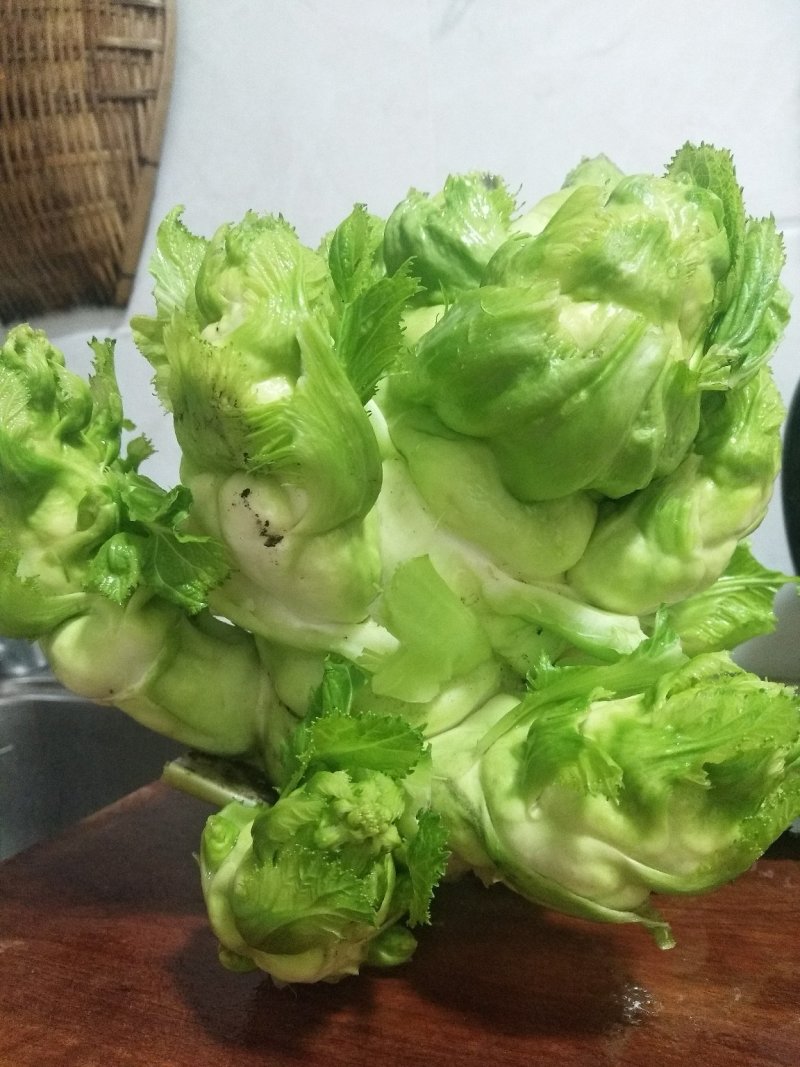 精品儿菜