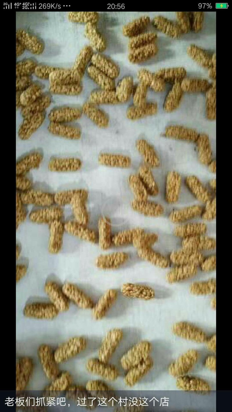坚果燕麦酥