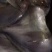 鲳鱼