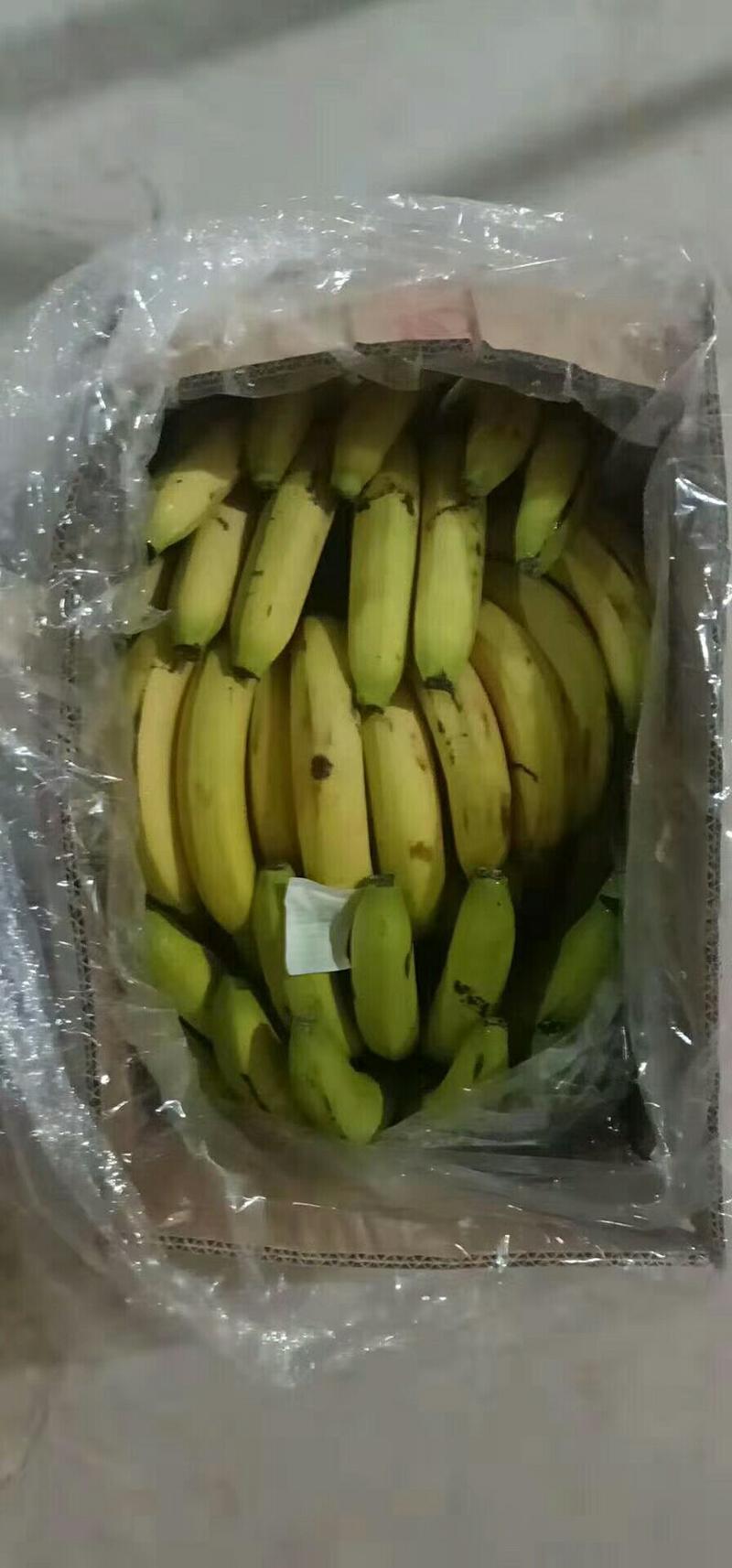南大堡水果批发市场香蕉