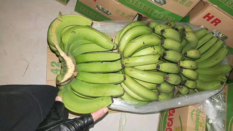 南大堡水果批发市场香蕉
