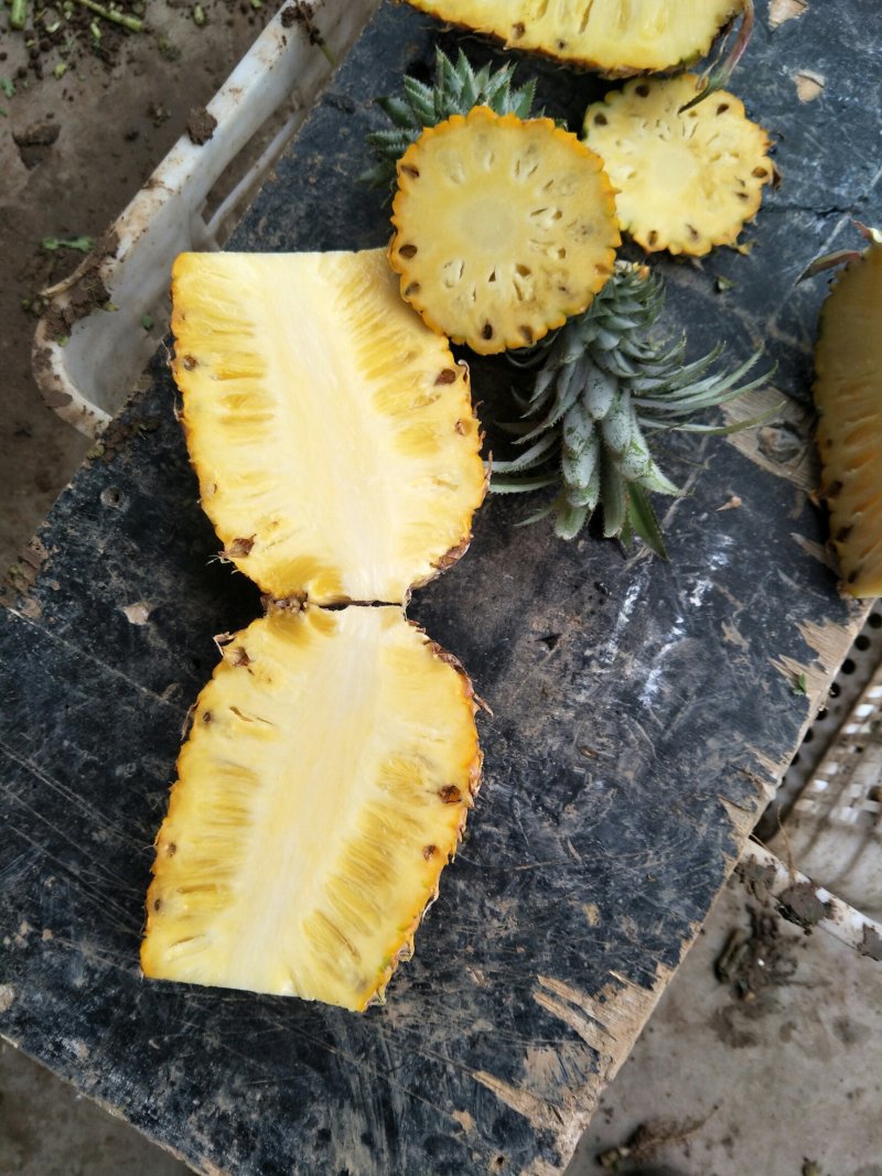 南大堡水果批发市场香蕉