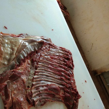 生鲜驴肉，养殖基地一手货源