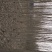 白蜡，国槐，柳树，杨树，法桐，榆树，海棠，紫叶李