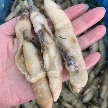 蛏王肉，蛏子肉，电商蛏王肉，干冰蛏子肉，无沙蛏王肉