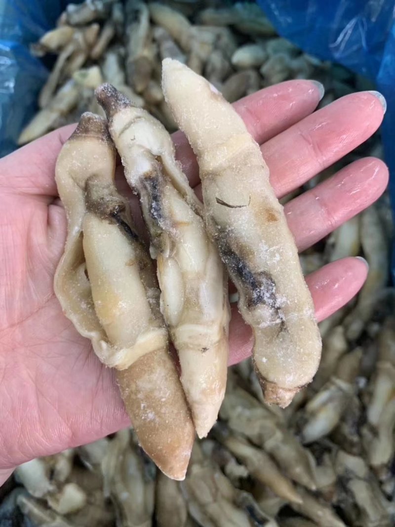 蛏王肉，蛏子肉，电商蛏王肉，干冰蛏子肉，无沙蛏王肉