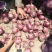 【品质好】红皮洋葱8厘米以上质量口感好，全年供货