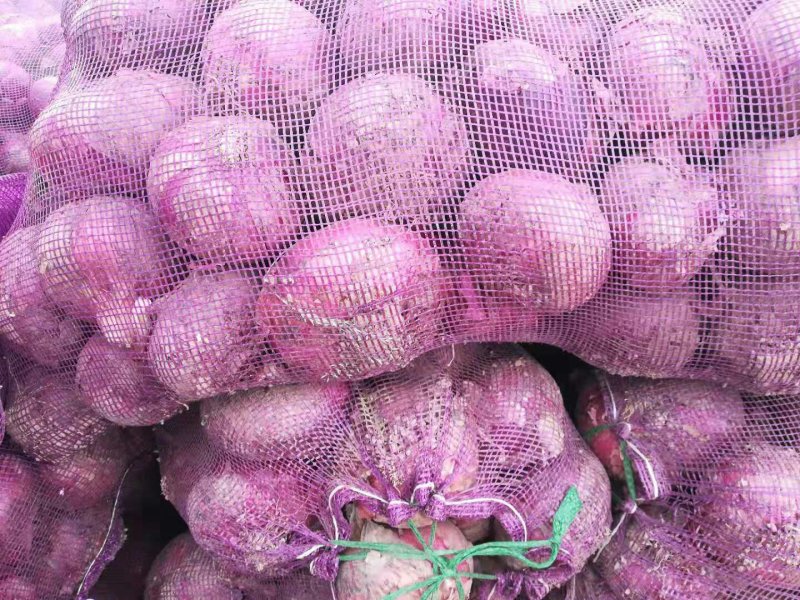 【品质好】红皮洋葱8厘米以上质量口感好，全年供货