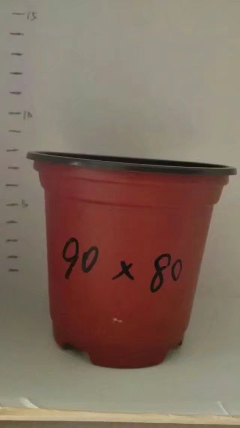 双色杯花盆营养杯蔬菜盆吊兰盘塑料盆红色花盆加仑盆
