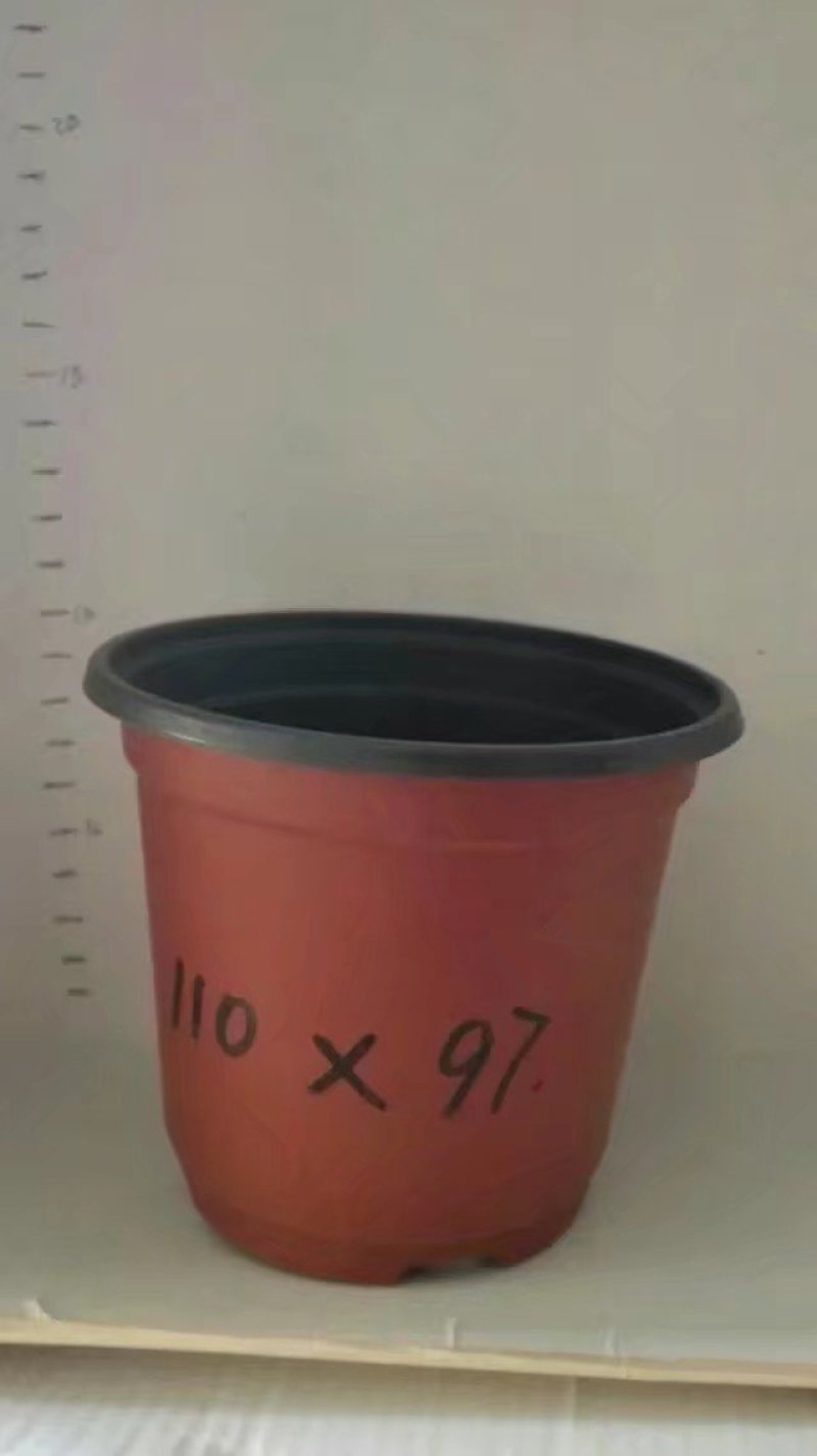双色杯花盆营养杯蔬菜盆吊兰盘塑料盆红色花盆加仑盆