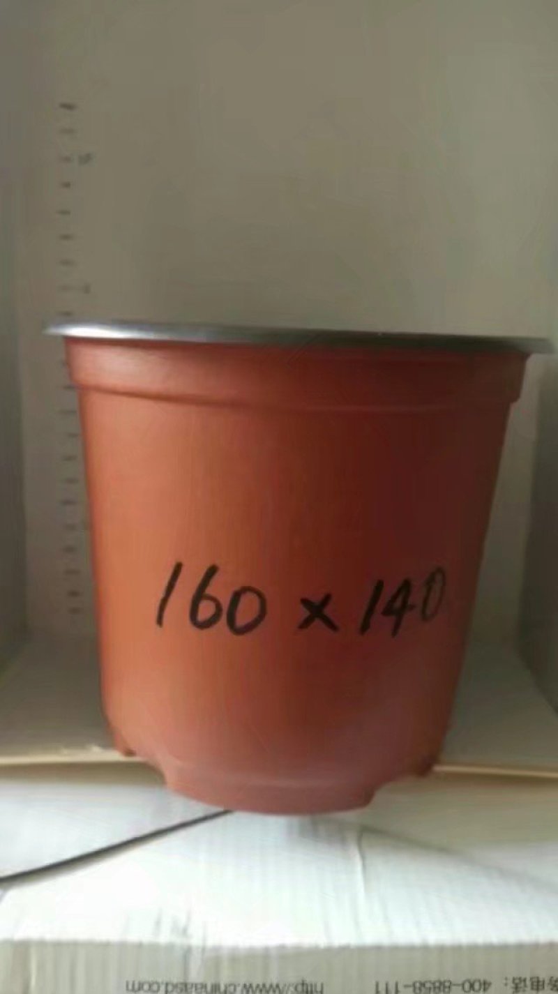 双色杯花盆营养杯蔬菜盆吊兰盘塑料盆红色花盆加仑盆