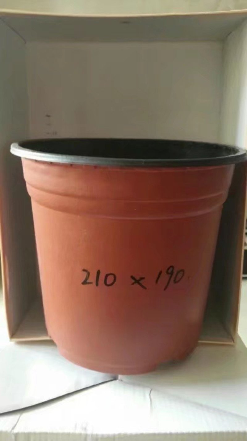 双色杯花盆营养杯蔬菜盆吊兰盘塑料盆红色花盆加仑盆