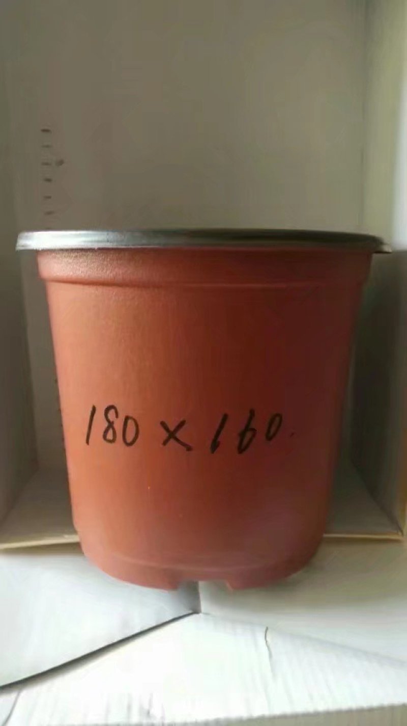 双色杯花盆营养杯蔬菜盆吊兰盘塑料盆红色花盆加仑盆