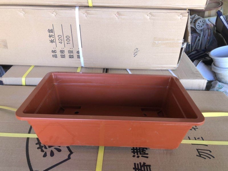 双色杯花盆营养杯蔬菜盆吊兰盘塑料盆红色花盆加仑盆