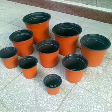 双色杯花盆营养杯蔬菜盆吊兰盘塑料盆红色花盆加仑盆