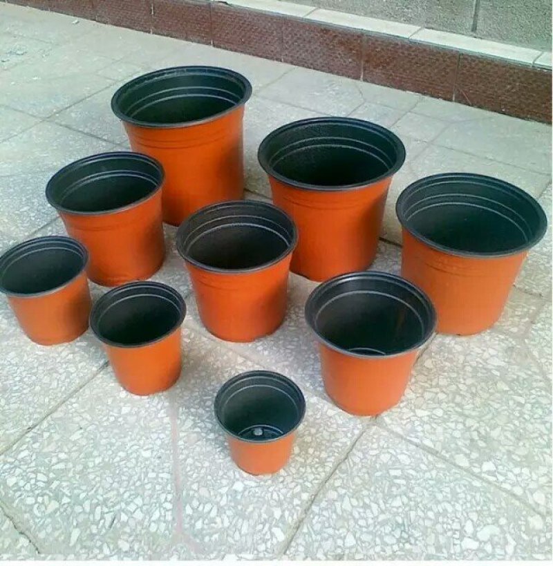 双色杯花盆营养杯蔬菜盆吊兰盘塑料盆红色花盆加仑盆