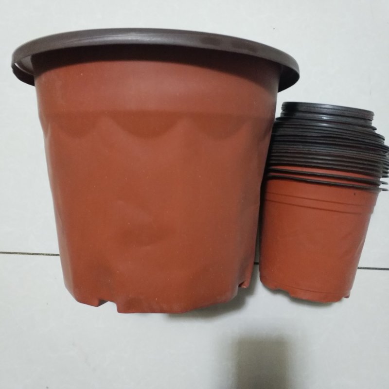 双色杯花盆营养杯蔬菜盆吊兰盘塑料盆红色花盆加仑盆