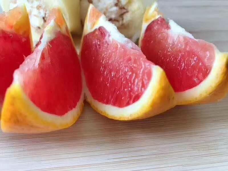 精品血橙,红橙产地直供，一手货源物美价廉欢迎电话联系