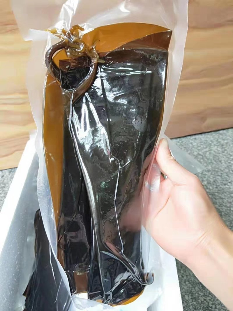 鲜海带