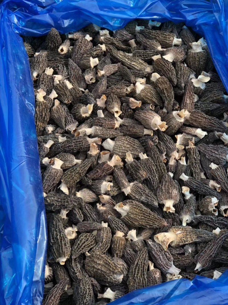 羊肚菌（散装)