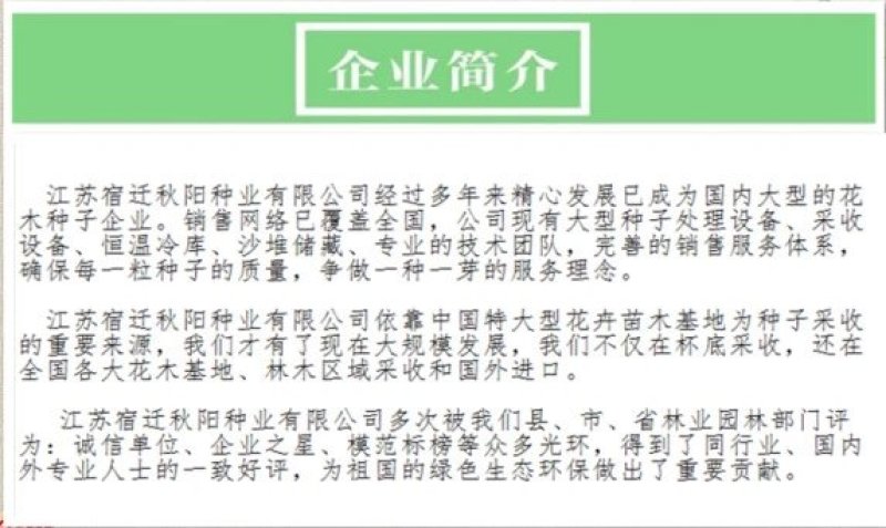 新采油茶种子红花大果油茶种子软枝油茶种子销售品种优质