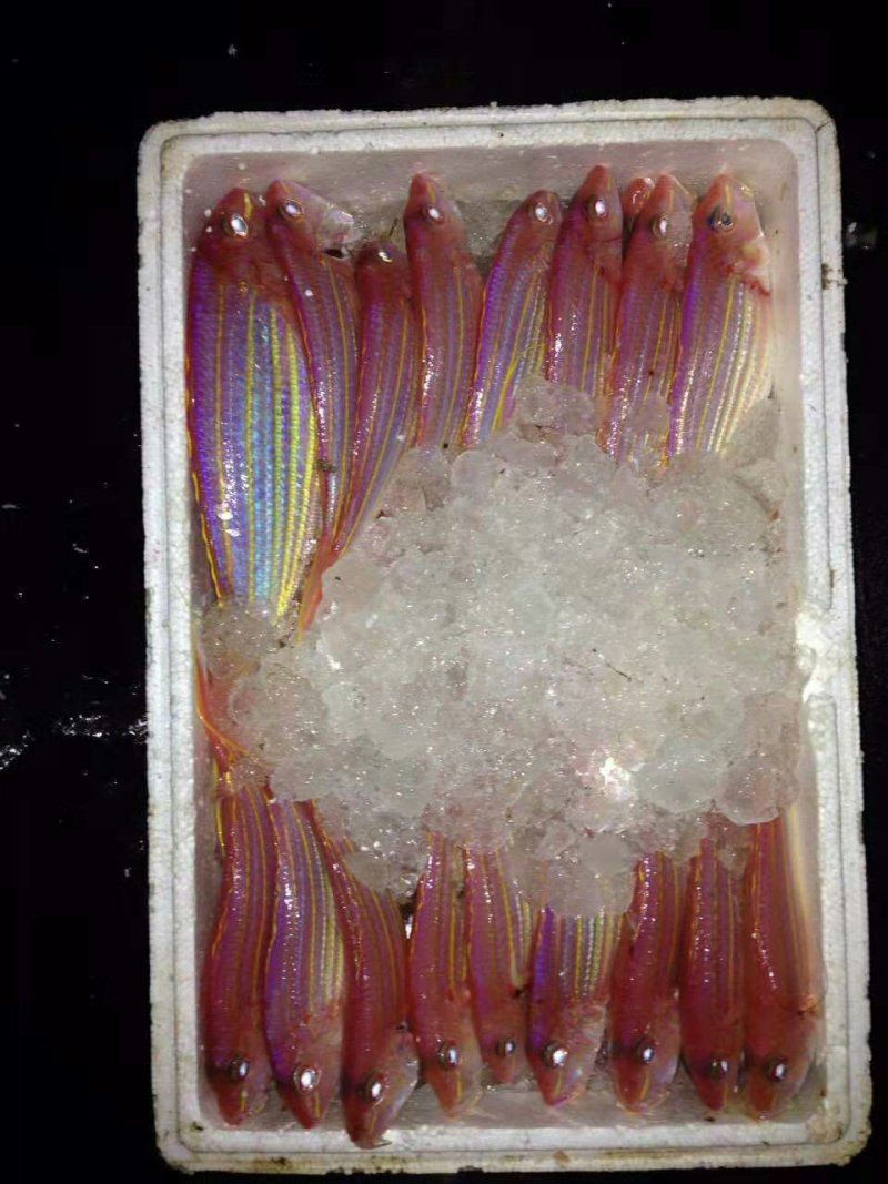 鱼干