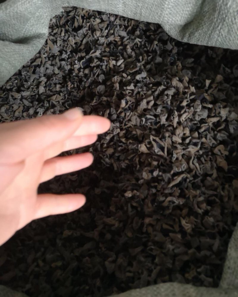 黑龙江黑木耳！！！