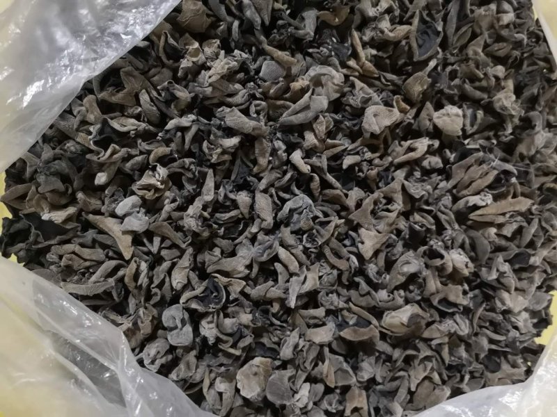 黑龙江黑木耳！！！